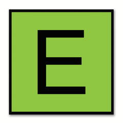 Alphabet E Green Canvas Print Black Frame Kids Bedroom Wall Décor Home Art