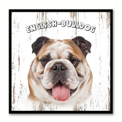 English Bulldog Dog Canvas Print Picture Frame Gift Home Decor Wall Art Decoration