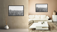 Wheat ears paddy full of grain, on the field Black and White Landscape decor, National Park, Sightseeing, Attractions, Black Frame