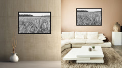 Barley paddy Black and White Landscape decor, National Park, Sightseeing, Attractions, Black Frame