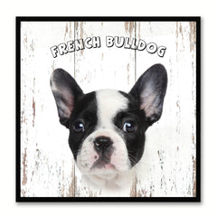French Bulldog Dog Canvas Print Picture Frame Gift Home Decor Wall Art Decoration