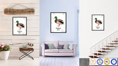 Mallard Duck Bird Canvas Print, Black Picture Frame Gift Ideas Home Decor Wall Art Decoration