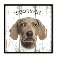 Weimaraner Dog Canvas Print Picture Frame Gift Home Decor Wall Art Decoration
