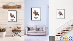 Mandarin Duck Bird Canvas Print, Black Picture Frame Gift Ideas Home Decor Wall Art Decoration