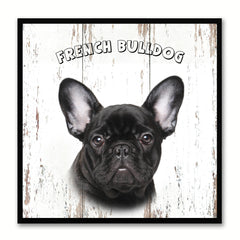 French Bulldog Dog Canvas Print Picture Frame Gift Home Decor Wall Art Decoration
