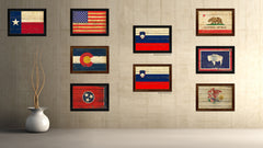 Slovenia Country Flag Vintage Canvas Print with Brown Picture Frame Home Decor Gifts Wall Art Decoration Artwork
