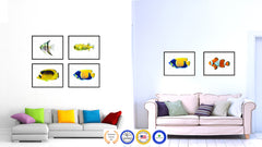 Yellow Tropical Fish Painting Reproduction Gifts Home Decor Wall Art Canvas Prints Picture Frames