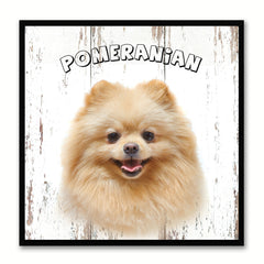 Pomeranian Dog Canvas Print Picture Frame Gift Home Decor Wall Art Decoration