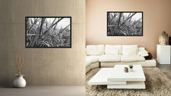 Nutritious Nature Rice Paddy Field Black and White Landscape decor, National Park, Sightseeing, Attractions, Black Frame