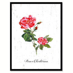 Red Rose Flower Canvas Print with Picture Frame Floral Home Decor Wall Art Living Room Decoration Gifts