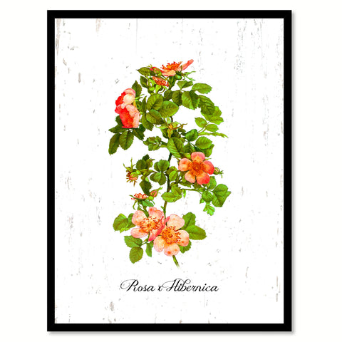 Orange Rose Flower Canvas Print with Picture Frame Floral Home Decor Wall Art Living Room Decoration Gifts