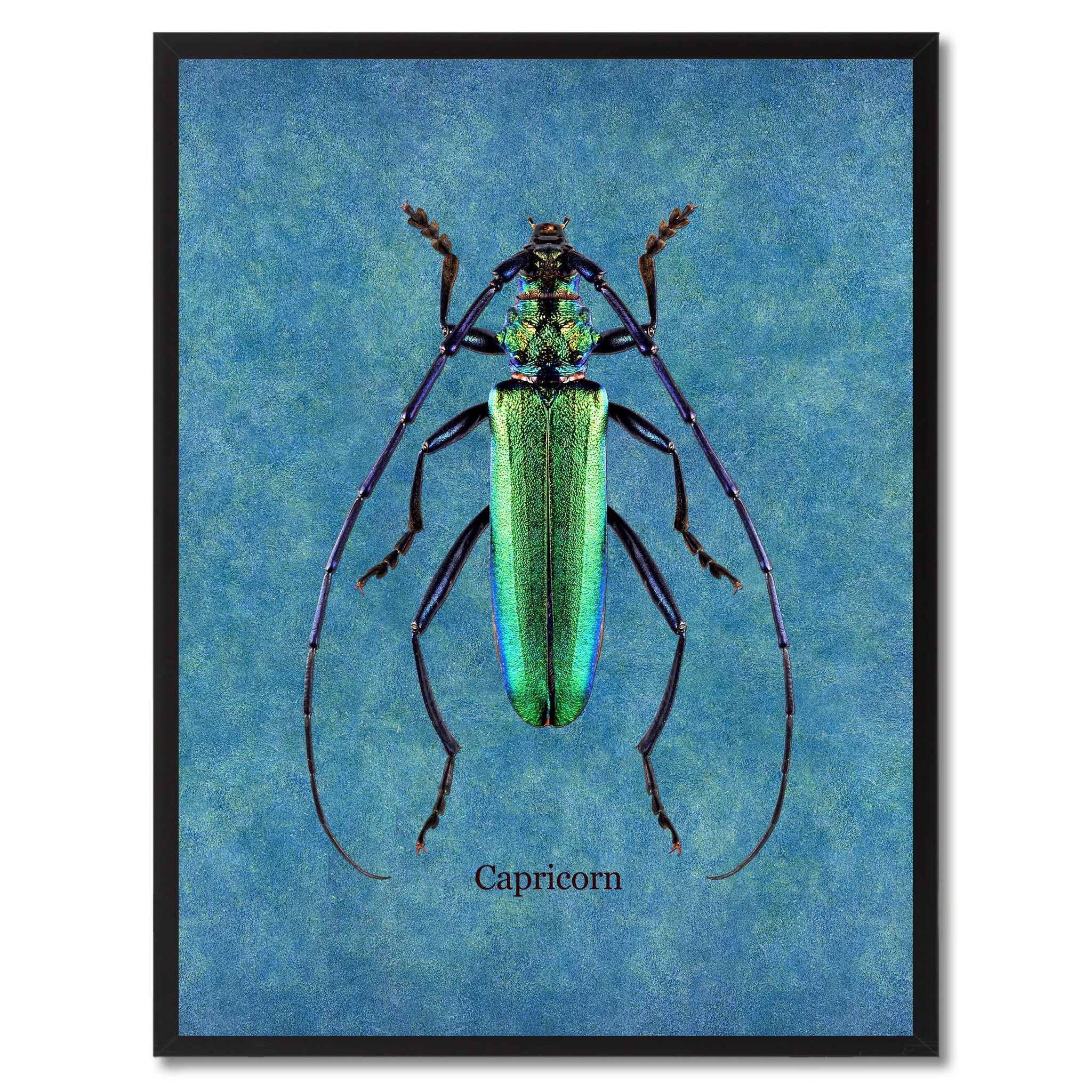 Capricorn Blue Canvas Print, Picture Frames Home Decor Wall Art Gifts