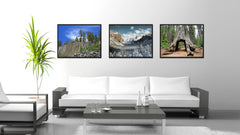 Giant Sequoia Tree Yosemite Landscape Photo Canvas Print Pictures Frames Home Décor Wall Art Gifts