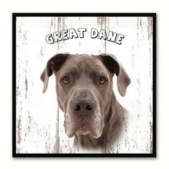 GreatDane Dog Canvas Print Picture Frame Gift Home Decor Wall Art Decoration